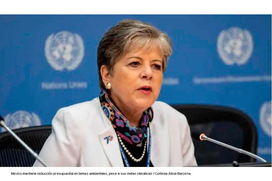 Tenemos que dejar de depender de las importaciones de gas natural de EU: Alicia Bárcena