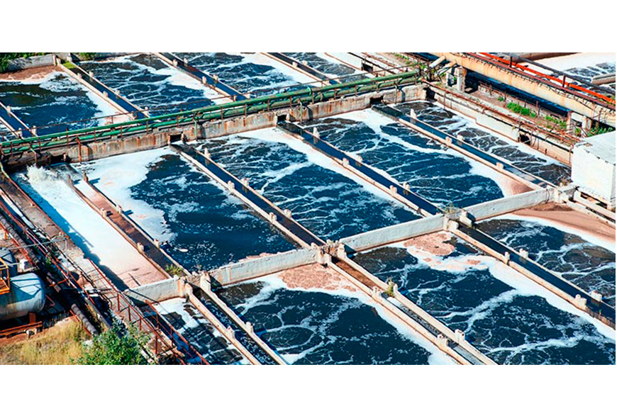 Aguas residuales: los microorganismos electroquímicamente activos convierten la energía química en electricidad